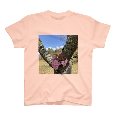 八重桜 Regular Fit T-Shirt