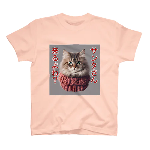 サンタを信じてる猫 Regular Fit T-Shirt