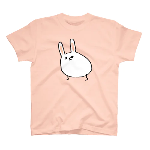 にわとりのにわににわのにわとりがいる スタンダードTシャツ