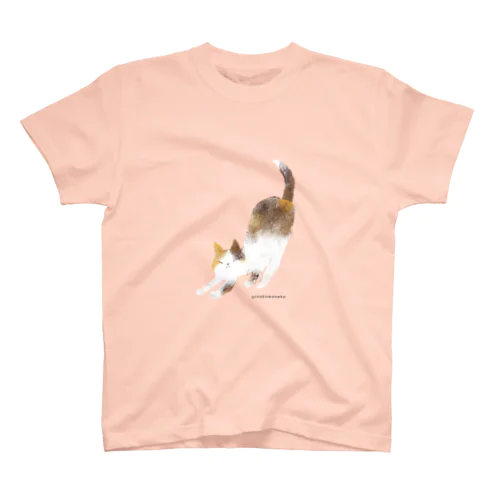 伸びーっ三毛猫さん スタンダードTシャツ