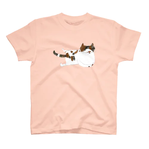 小さなアーティストの描く我が家の猫 スタンダードTシャツ