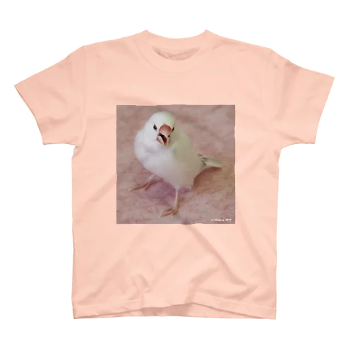 かっこいい白文鳥 スタンダードTシャツ