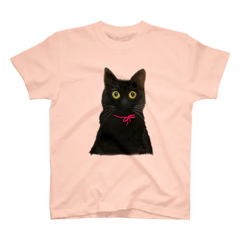 おめめまん丸 黒猫 スタンダードTシャツ