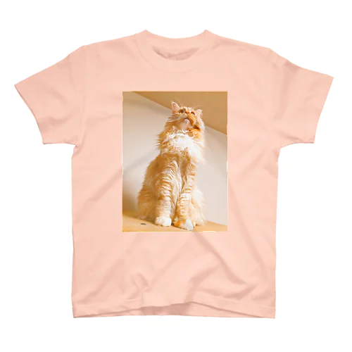 TOP of CATタワー スタンダードTシャツ