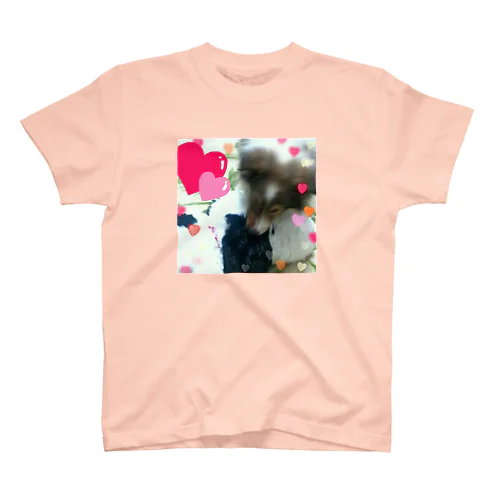 Kantarou the Sheltie Regular Fit T-Shirt