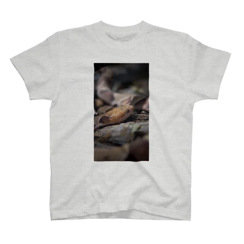 Snake スタンダードTシャツ