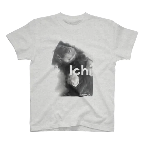 Ichi Regular Fit T-Shirt