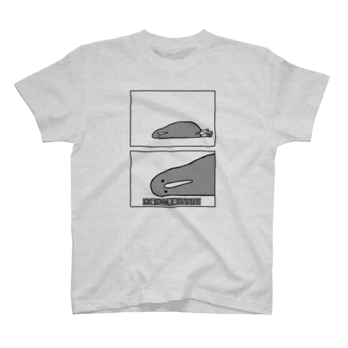 kiwi_life（木曜が一番疲れている）/Tシャツ Regular Fit T-Shirt