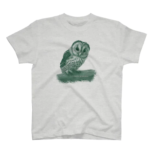 フクロウの巣立ちびな（寄付） Regular Fit T-Shirt