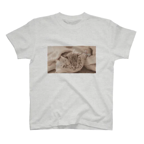 have a catnap スタンダードTシャツ