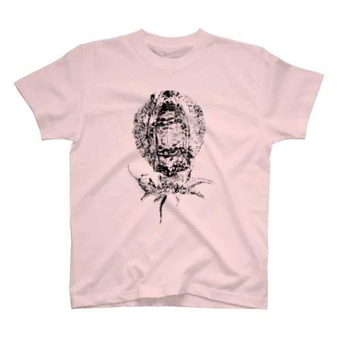 ikaT2 Regular Fit T-Shirt