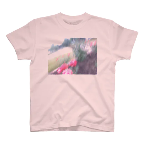 雨の日のバラ　ピンク スタンダードTシャツ