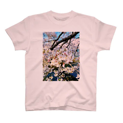 Cherry Blossoms 2020 スタンダードTシャツ