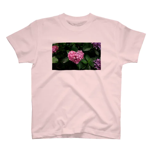 紫陽花 スタンダードTシャツ