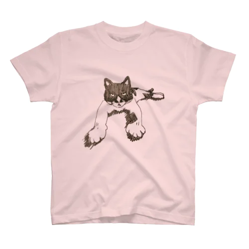 ぶちゃ猫ピカリ スタンダードTシャツ