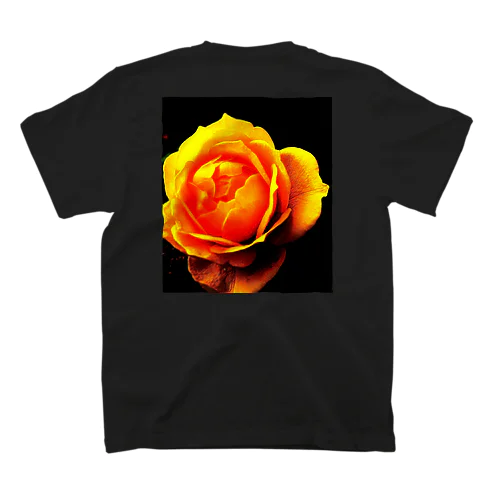 Yellow Rose Regular Fit T-Shirt