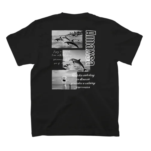 Amaxsaイルカウォッチング-monochrome黒Tシャツ スタンダードTシャツ