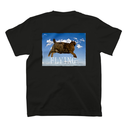 えいごばーじょん Regular Fit T-Shirt