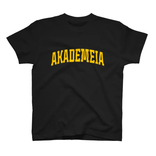 AKADEMEIA / T_BK スタンダードTシャツ