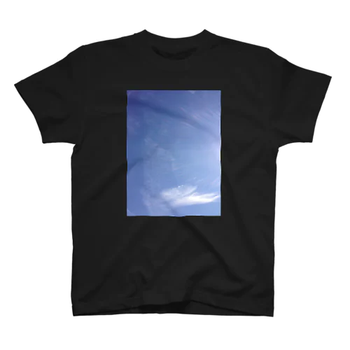 Jumping Whale【空のことば】 Regular Fit T-Shirt