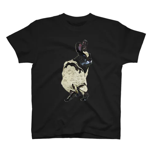 Rabbit Heart Mother Regular Fit T-Shirt