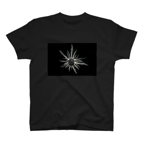 Eryngium Regular Fit T-Shirt