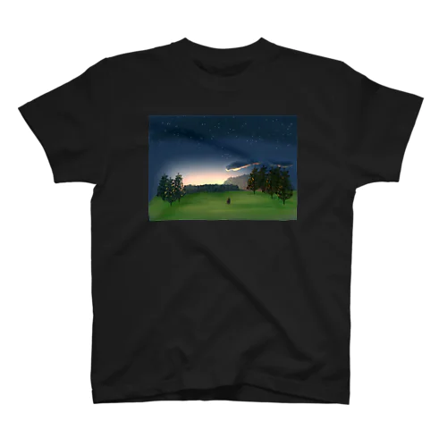 黒猫と夕暮れの草原 スタンダードTシャツ