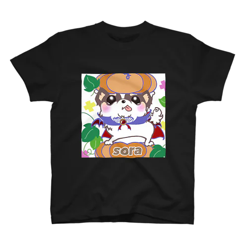 宇宙(sora)グッズ Regular Fit T-Shirt