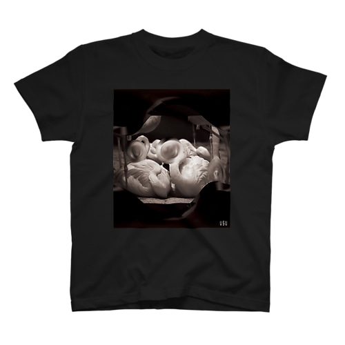 Frame01 Flamingo Regular Fit T-Shirt