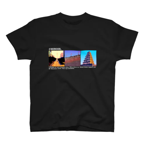 CHOAN View -black Regular Fit T-Shirt