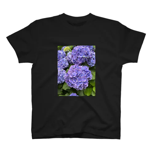 紫陽花 スタンダードTシャツ