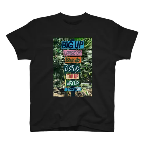 UP  Regular Fit T-Shirt