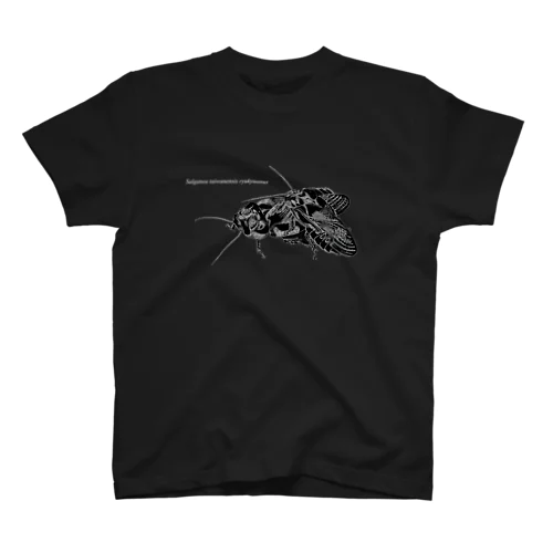 翅を食べ合うリュウキュウクチキゴキブリ（黒推奨ver） スタンダードTシャツ
