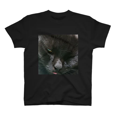 舌が出てる黒い猫 スタンダードTシャツ