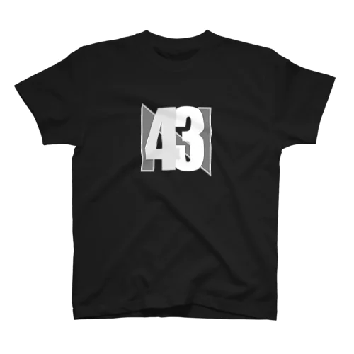 N43ってなに？ スタンダードTシャツ