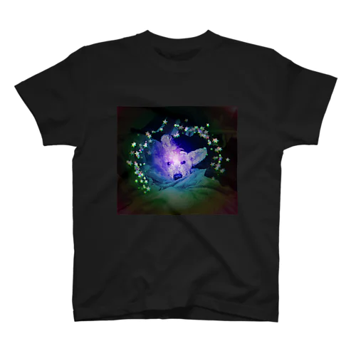 フィルムフォトrainbow Regular Fit T-Shirt