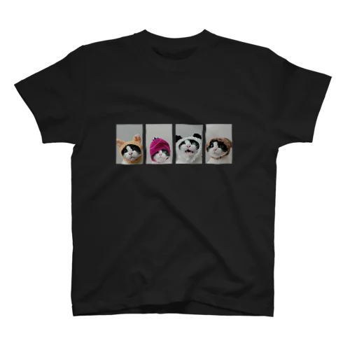 はちわれ猫の証明写真 スタンダードTシャツ