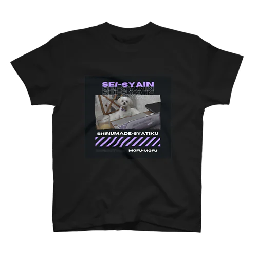 正社員Tシャツ スタンダードTシャツ