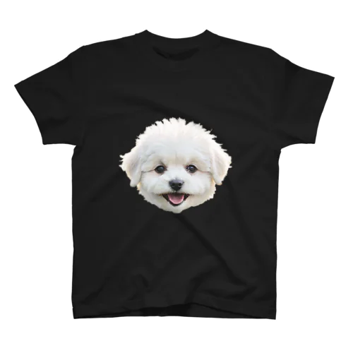 お豆犬の콩이！かわいしゅぎ顔面ドアップ スタンダードTシャツ