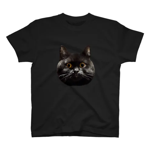 まんまるのくたん Regular Fit T-Shirt