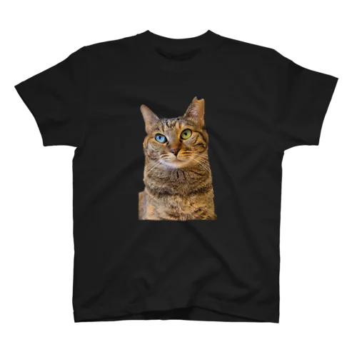 神秘的なオッドアイのりんちゃん Regular Fit T-Shirt