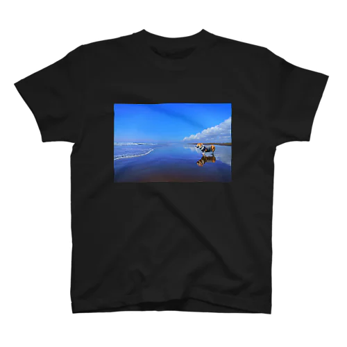 空としっぽ Regular Fit T-Shirt