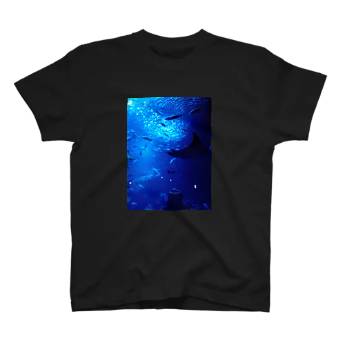 深海の示現。 スタンダードTシャツ