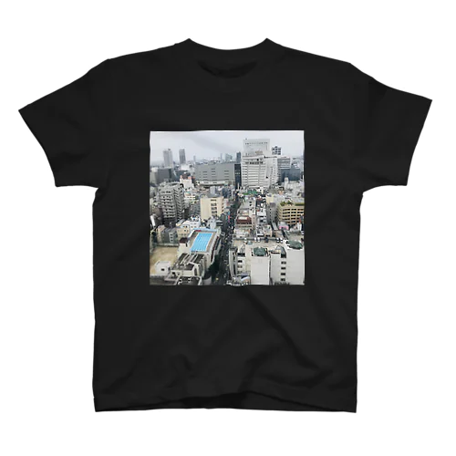 プールが見える Regular Fit T-Shirt