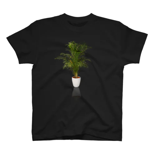 basera from a-bet  アレカヤシ（学名：Dypsis lutescens、シノニム：Chrysalidocartpus lutescens） スタンダードTシャツ