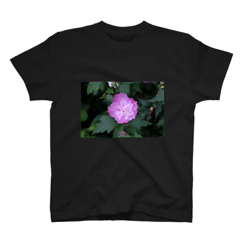 Flower of life / 04 スタンダードTシャツ