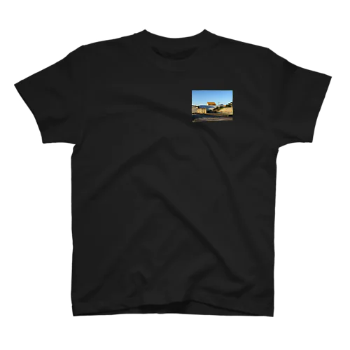 2017-11-05 07.48.35.jpg Regular Fit T-Shirt