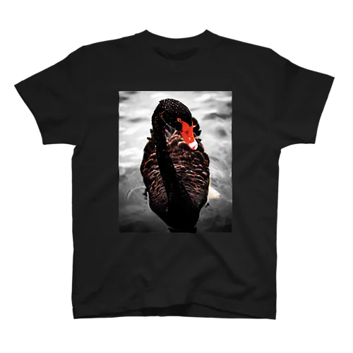 Black Swan Regular Fit T-Shirt