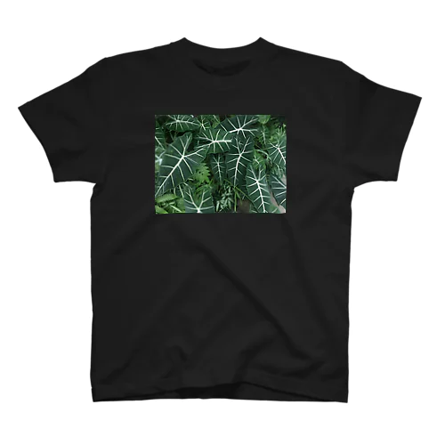 植物園 Regular Fit T-Shirt