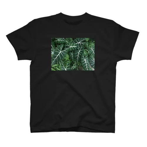 植物園 スタンダードTシャツ